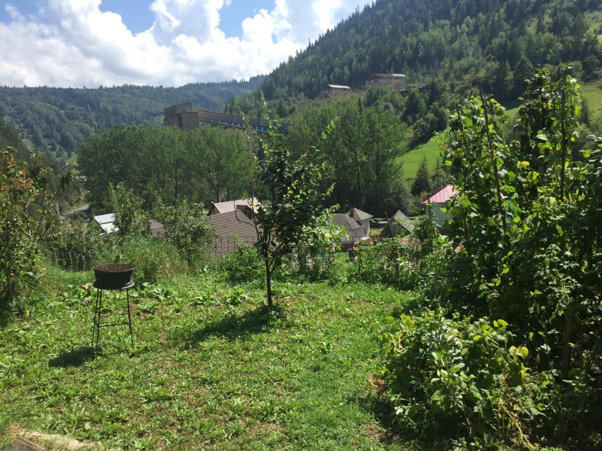 Acasa In Bicaz-Chei - Camere De Inchiriat Cheile Bicazului מראה חיצוני תמונה