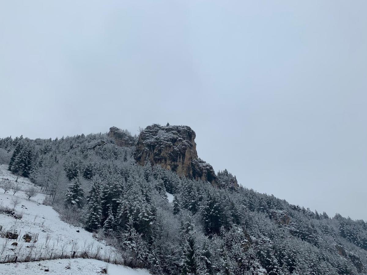 Acasa In Bicaz-Chei - Camere De Inchiriat Cheile Bicazului מראה חיצוני תמונה