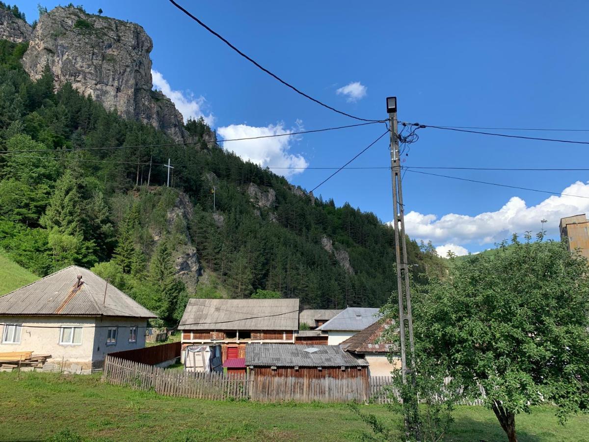 Acasa In Bicaz-Chei - Camere De Inchiriat Cheile Bicazului מראה חיצוני תמונה